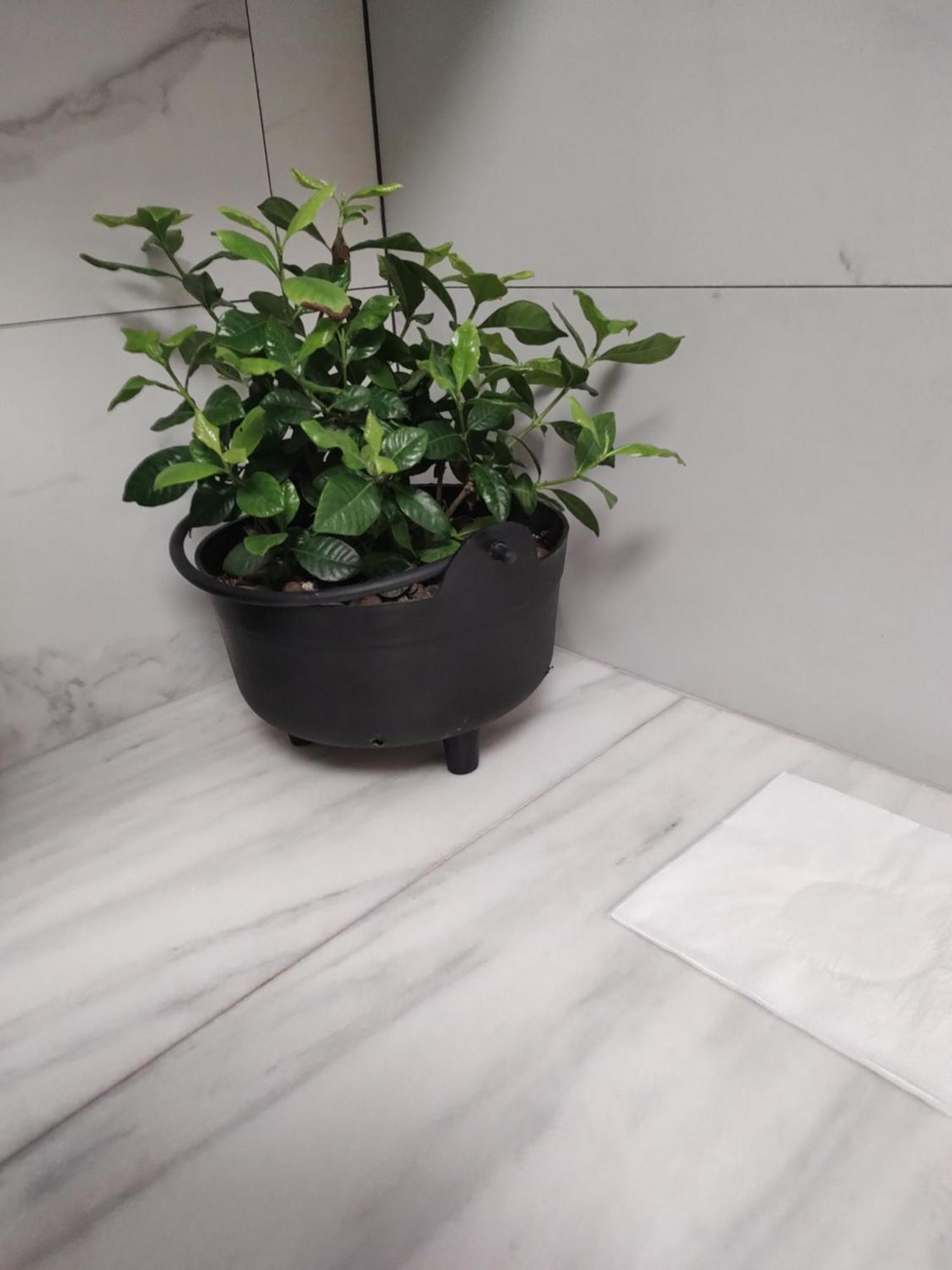 Studio Sibiu Ngoại thất bức ảnh